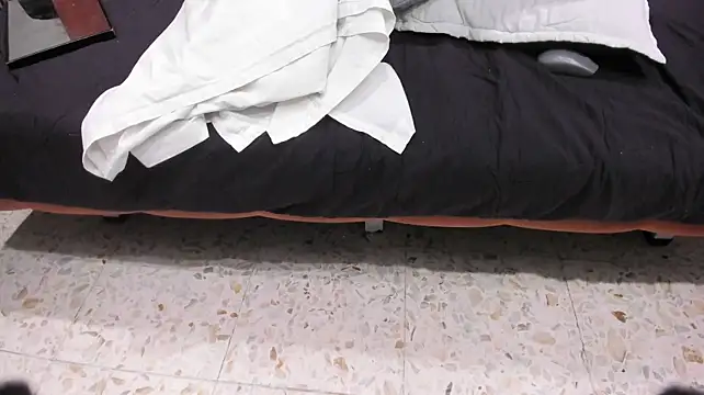 AryRoyce webcam