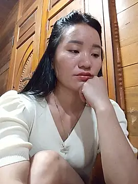 Td3di webcam