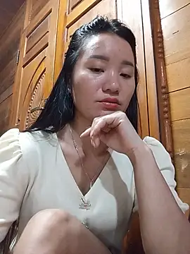 Td3di webcam