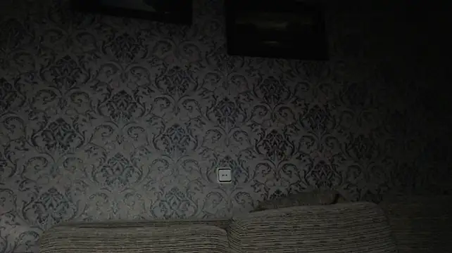 min1pekka webcam