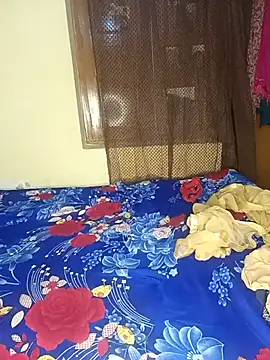 PUNJABI_Model4848