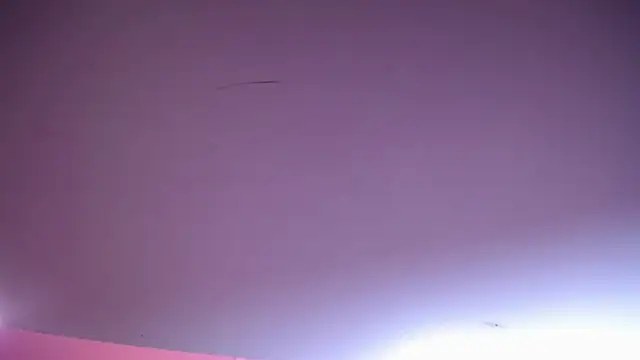 salomecastro_ webcam