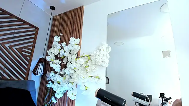 JacobDraven webcam
