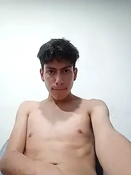 Aj212 webcam