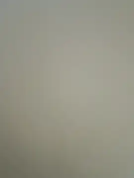 par_0111 webcam