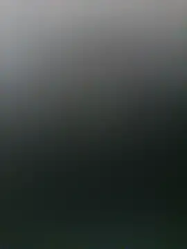 BlackkCrab