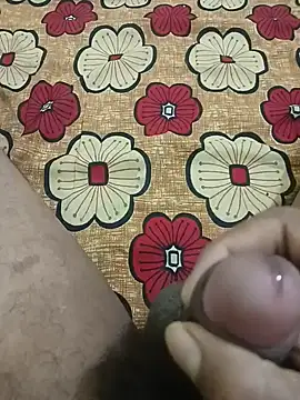 rajsibu