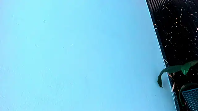 MiaRaven_