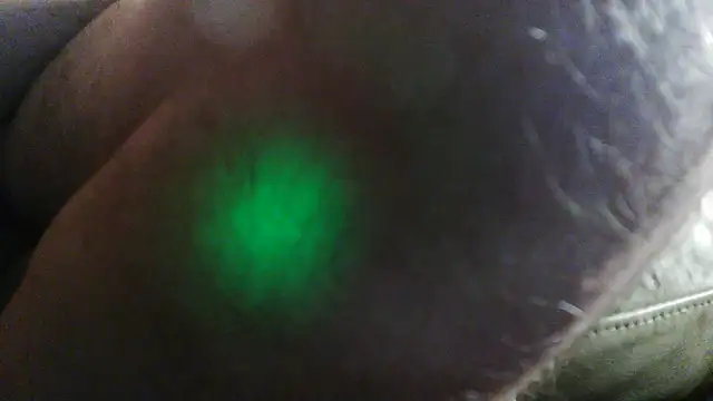 BronzeLeaf247
