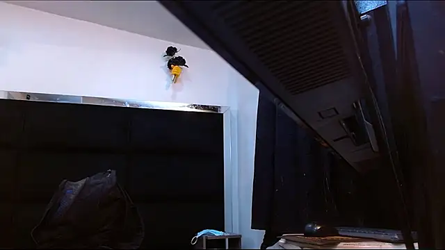 StefyFerrer live cam on StripChat