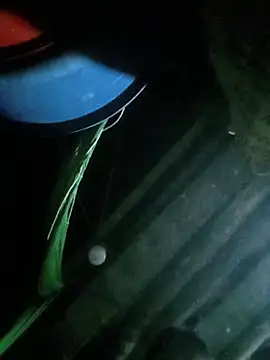 Bong_baby20