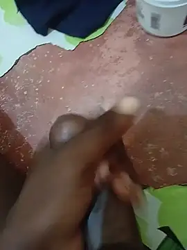 MaestroBbc01