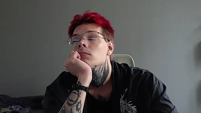 DENIS_HERE webcam