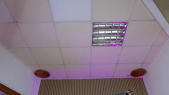 PlayfulShow