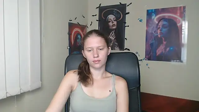 StellaCRL webcam