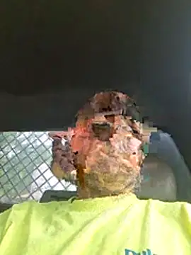 DaddyAndSplashQueen webcam