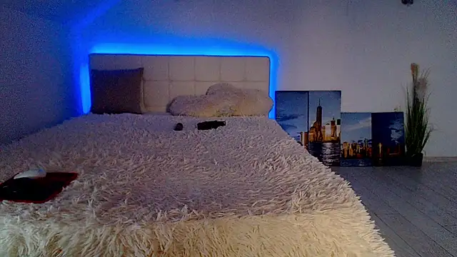 lennydream webcam