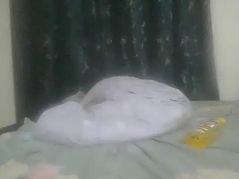 vanillapieh