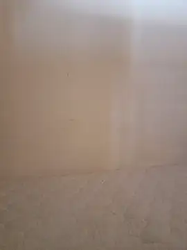 Amber0123 webcam