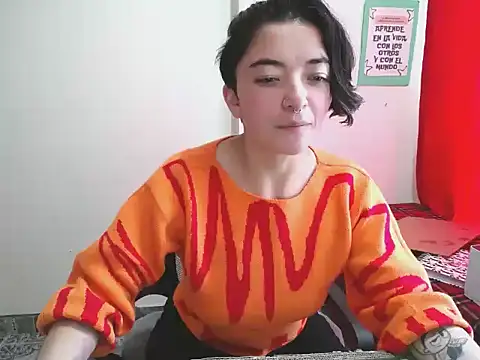 Came-II webcam