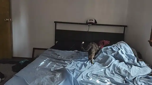 Opondestre00420 webcam
