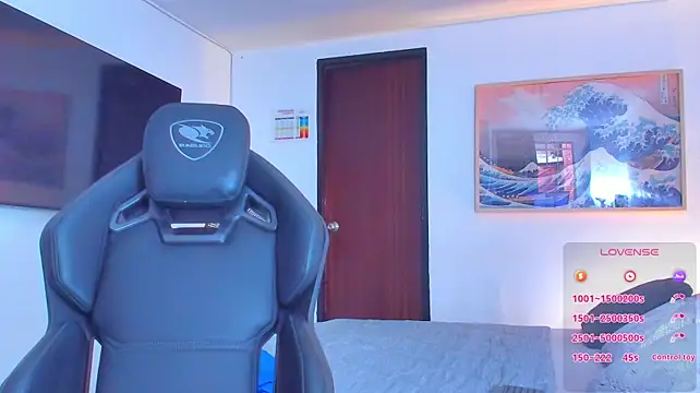 RJBarto webcam