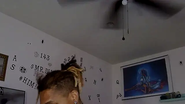 TheRealMrDLlong webcam