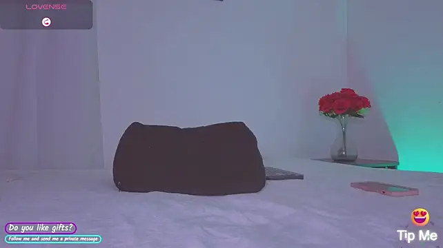 DaisyTaylor__ webcam