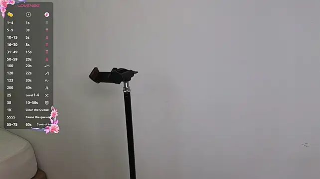 LumiNika webcam