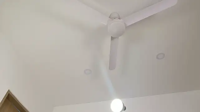 Edward_oa webcam