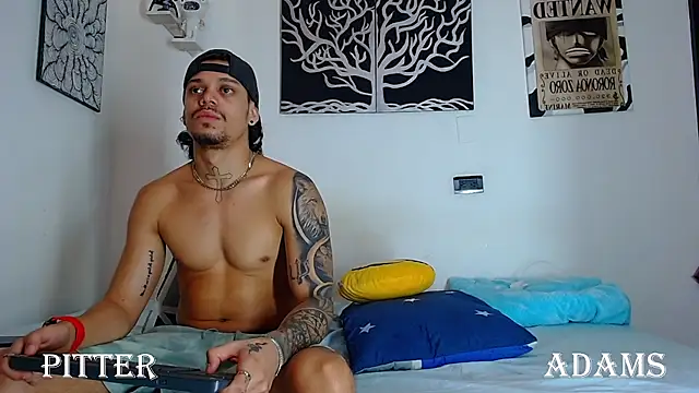 Friendsofeverything_ webcam