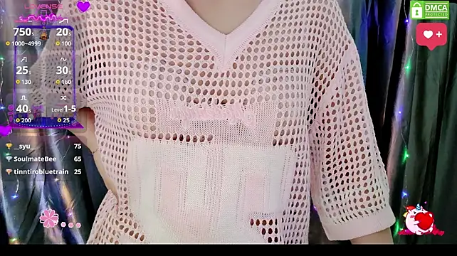 Dully_ana webcam