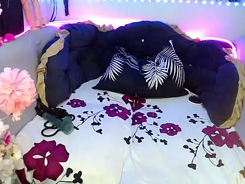 Demilame webcam
