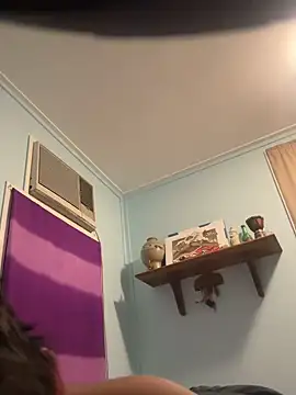tyd247 webcam