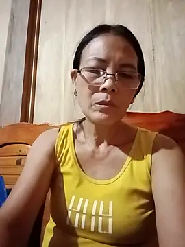 toyo_668 webcam