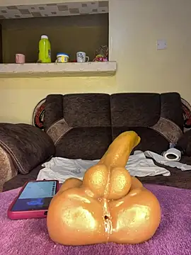 Rilaveta webcam