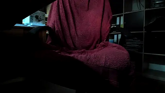 leccaleccafiga webcam