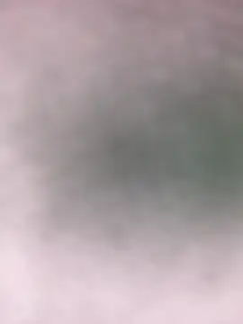 Zoey__08