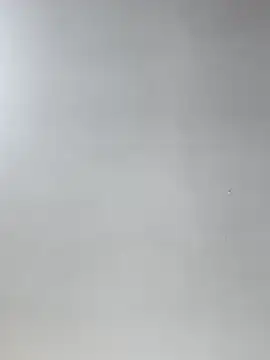 Anastacia_lasexy