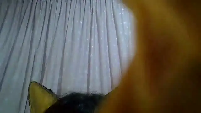 SkinnyKitten webcam