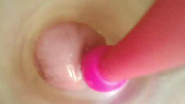 karol_stom
