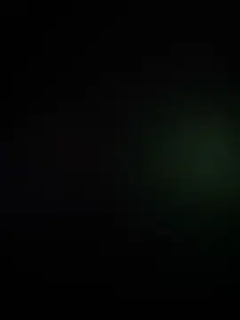 Motherbigbus