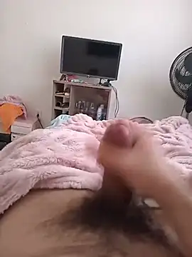 PUTAO6661
