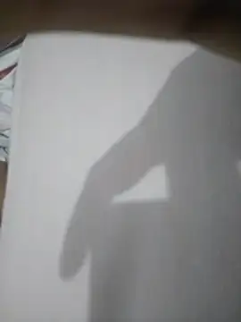 _RazaL_