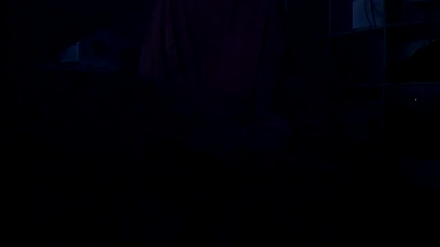 leccaleccafiga webcam