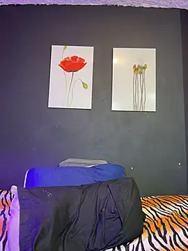 Karim_mansur webcam