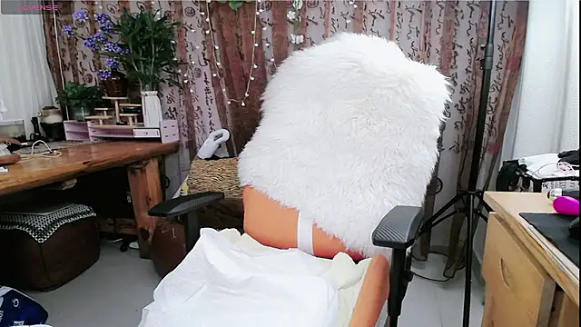 amysasa