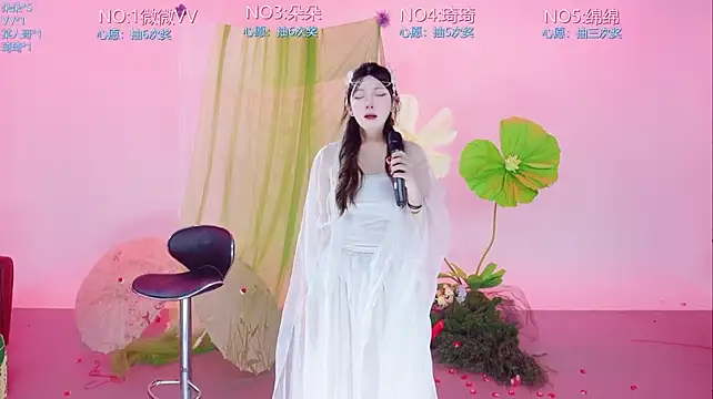 Gee-002 webcam