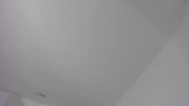 Alaia_Ferrer22