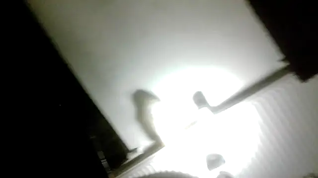 MeldingSociety